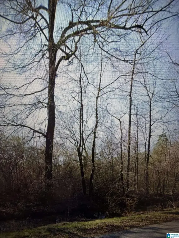 Picture 4