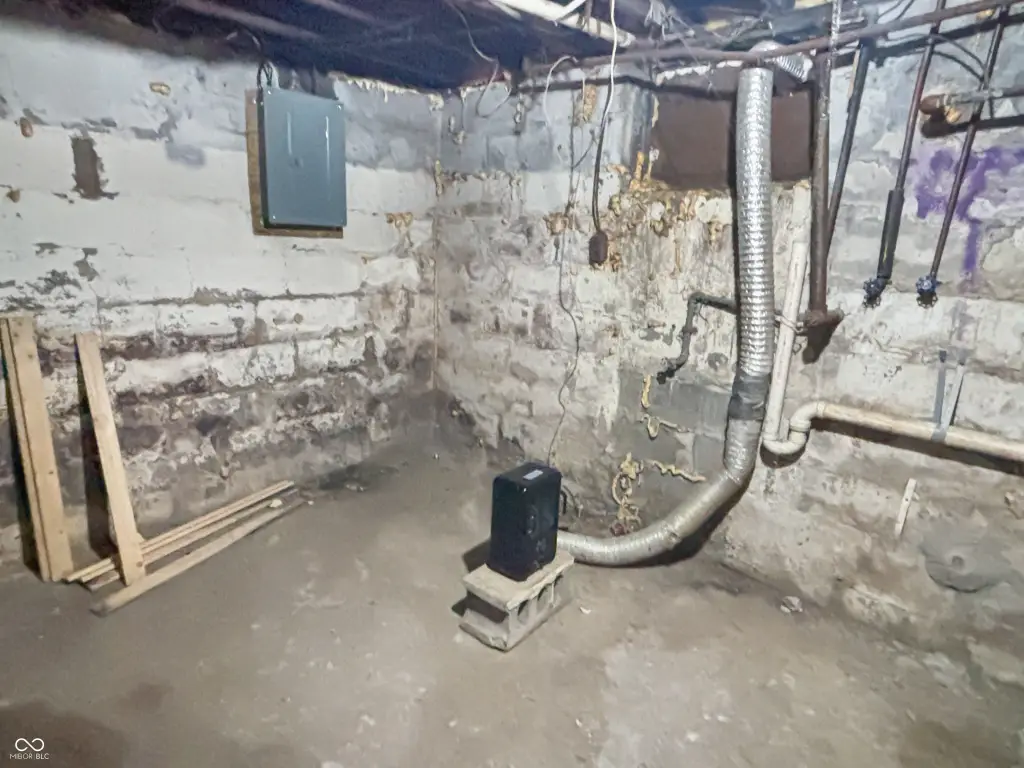 Picture 19