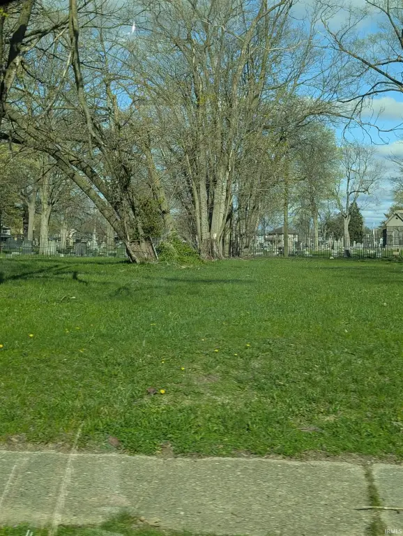 Picture 4