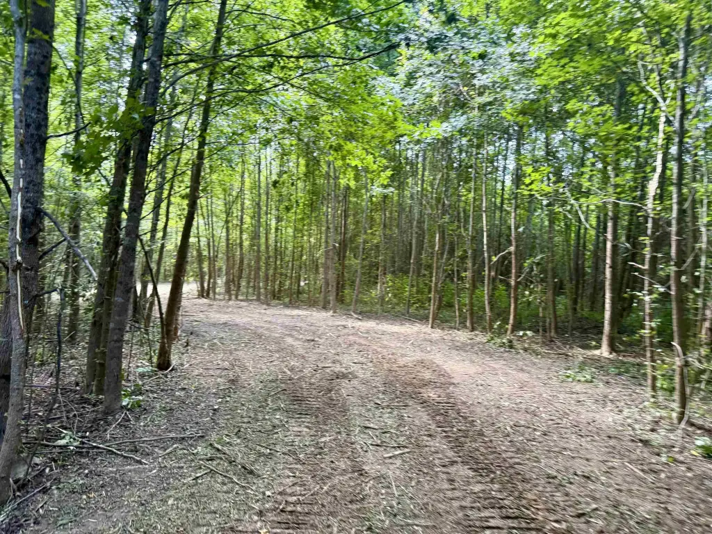 Picture 27