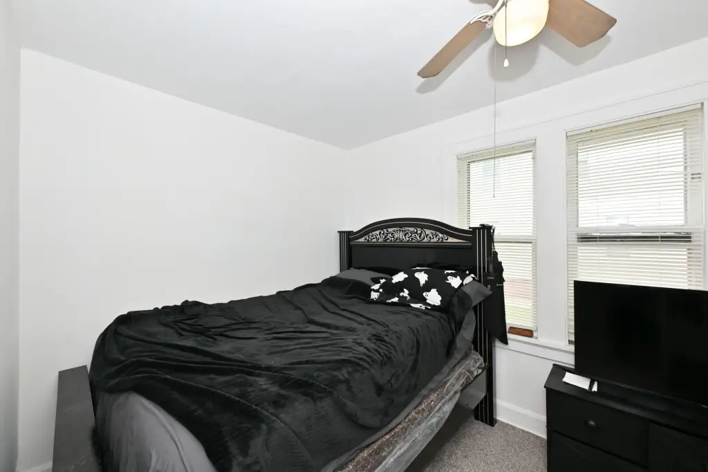 Picture 15