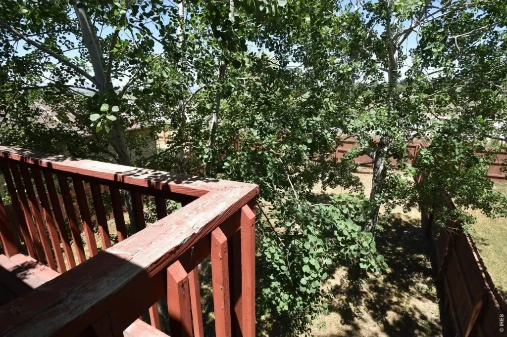 Picture 14