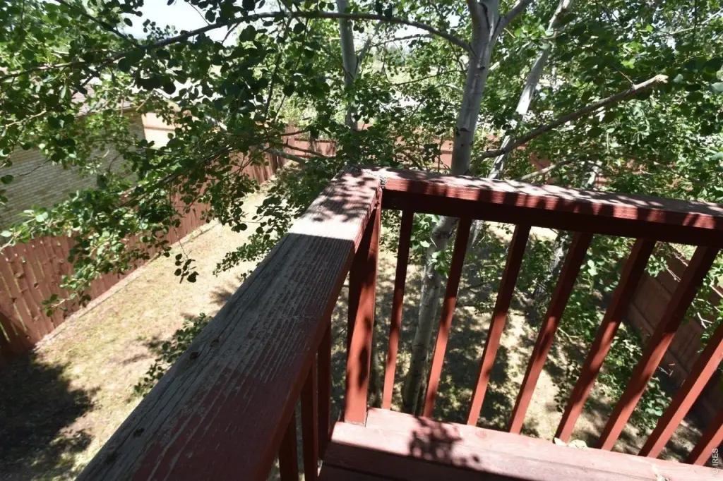 Picture 13