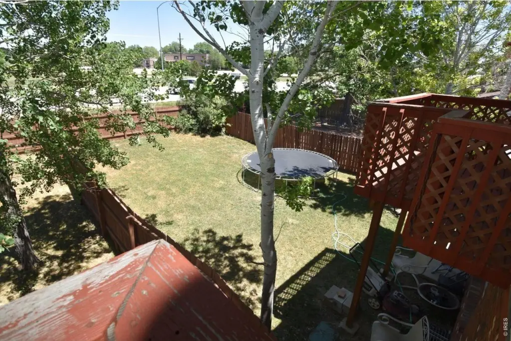 Picture 15