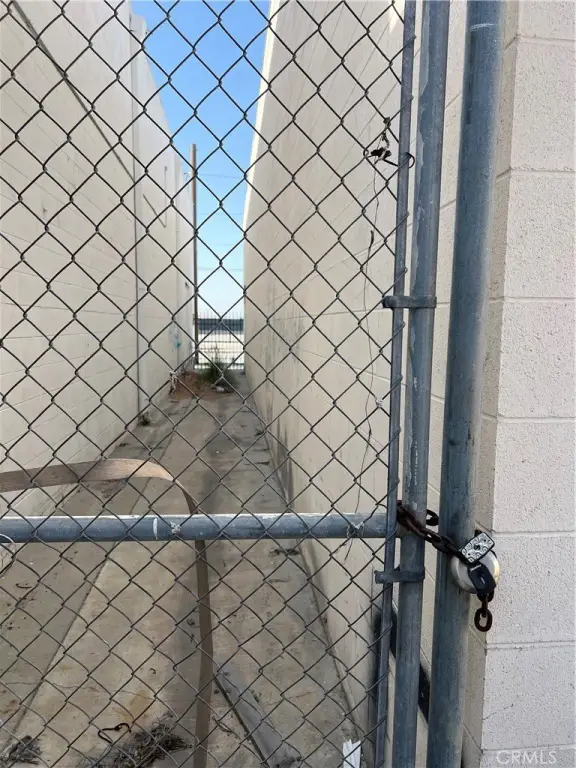 Picture 11