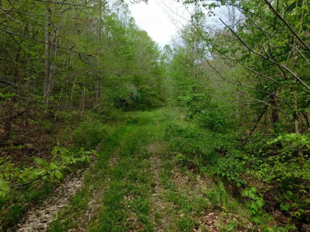 Picture 10