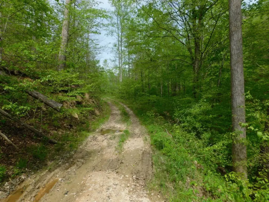 Picture 3