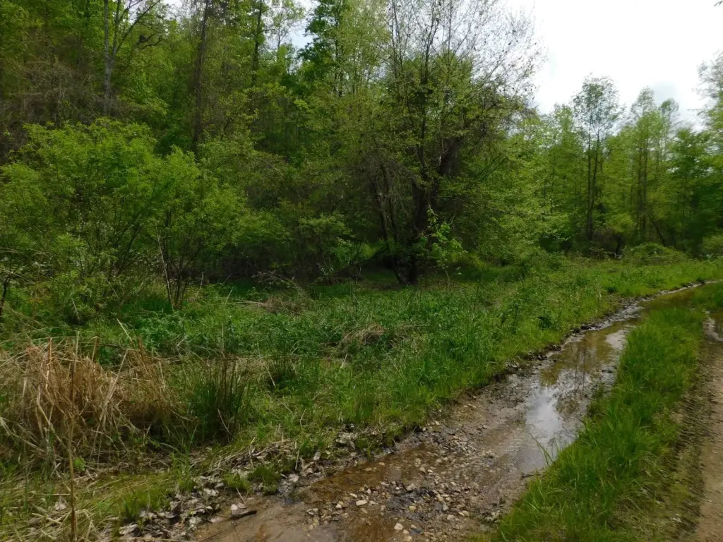 Picture 39