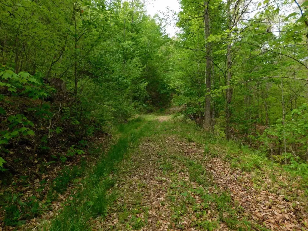 Picture 18