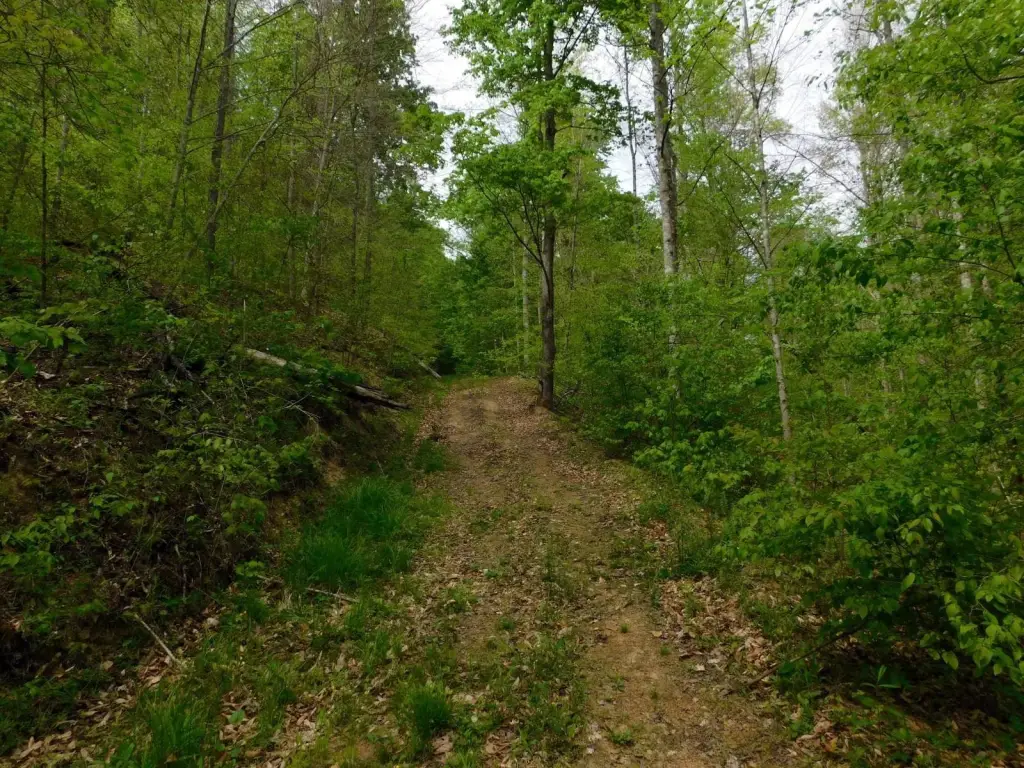Picture 16