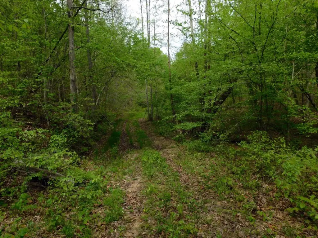 Picture 8