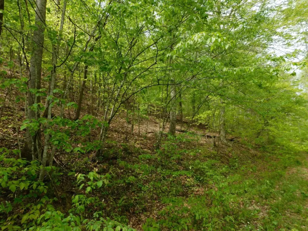 Picture 13