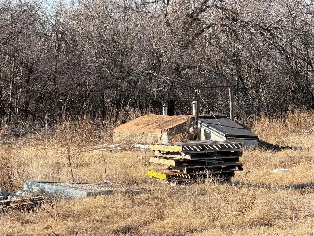 Picture 11