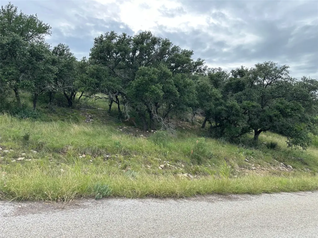 Picture 12