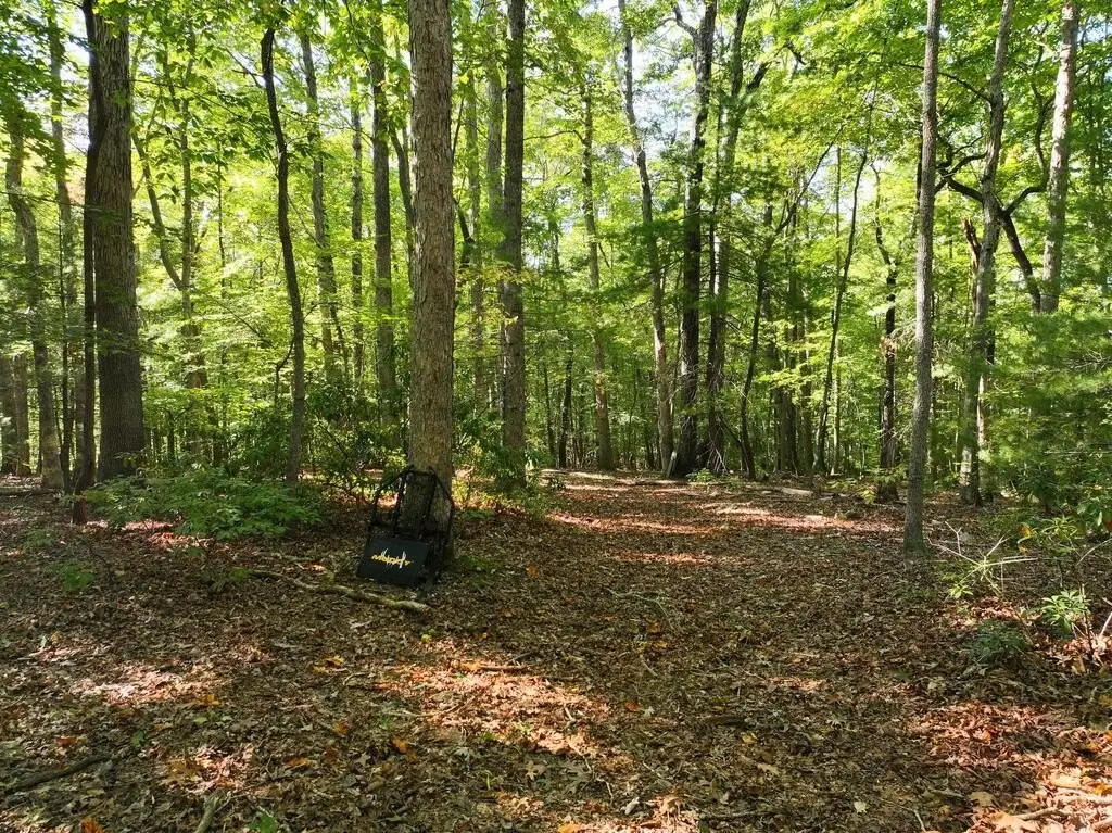 Picture 25