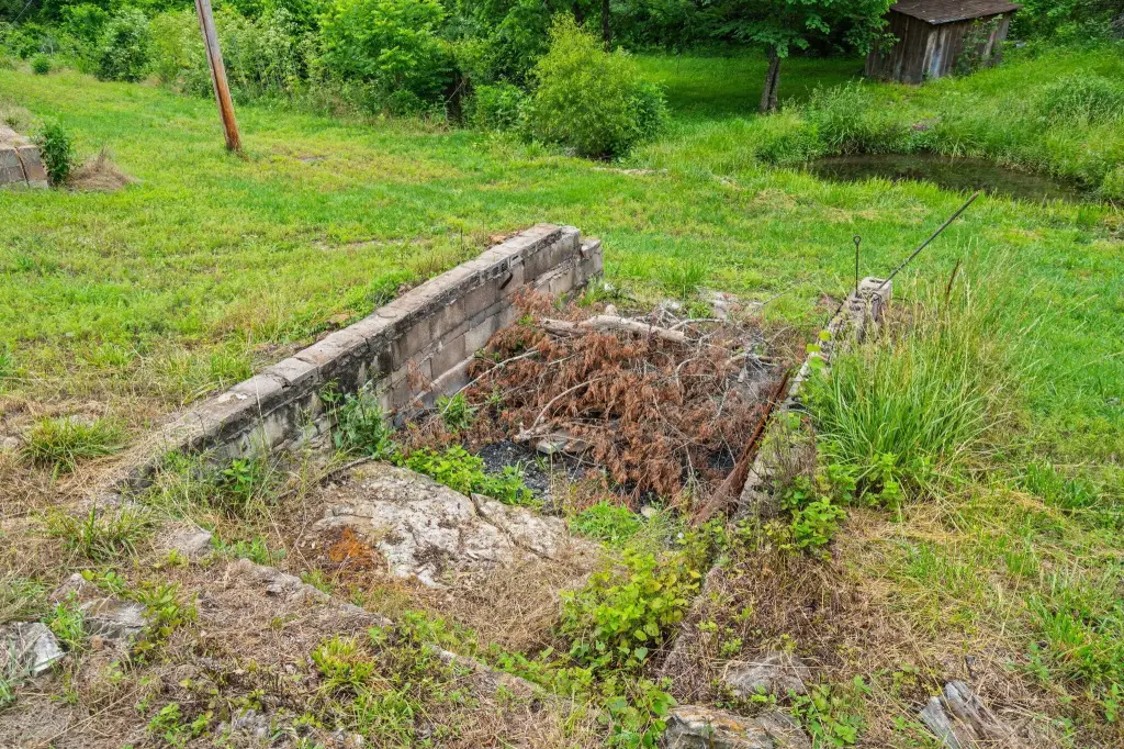 Picture 13