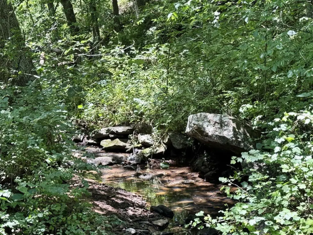 Picture 29