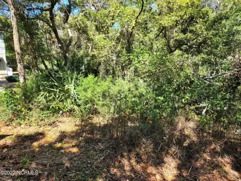 Wooded Homesite in Bald Head