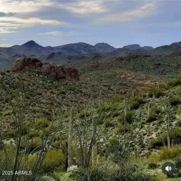 Land with Tonto Forest Views