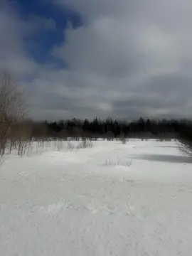 30 Acres of Hunting Land