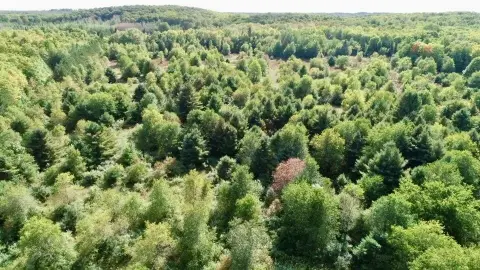 Wooded Land on M-28