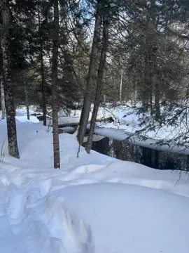 Scenic Cedarville Land with Creek