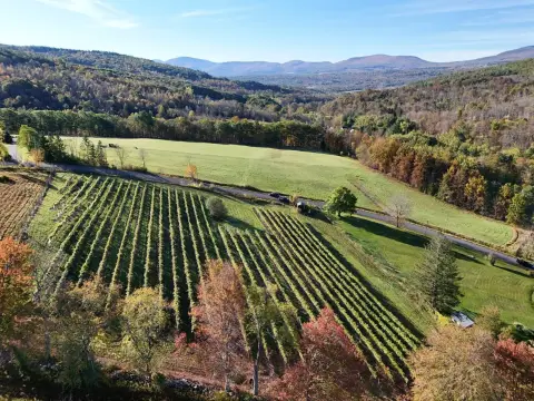 Producing Vineyard with Expansion Potential