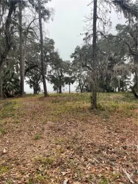 Townsend, GA Land For Sale
