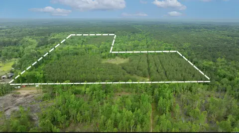 Hunting Land with Homesite Potential