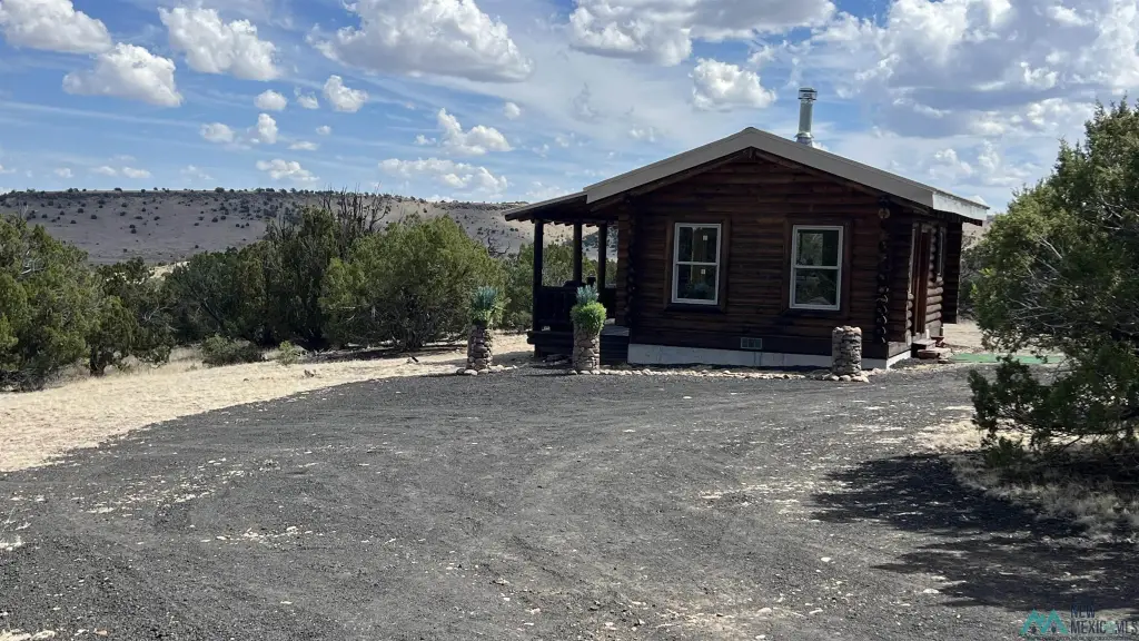 Picture 19