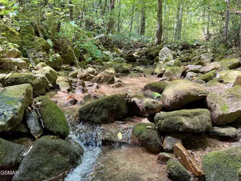 Residential Land in Sevierville, TN