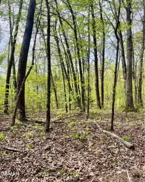 Buildable Land in Sevierville, TN