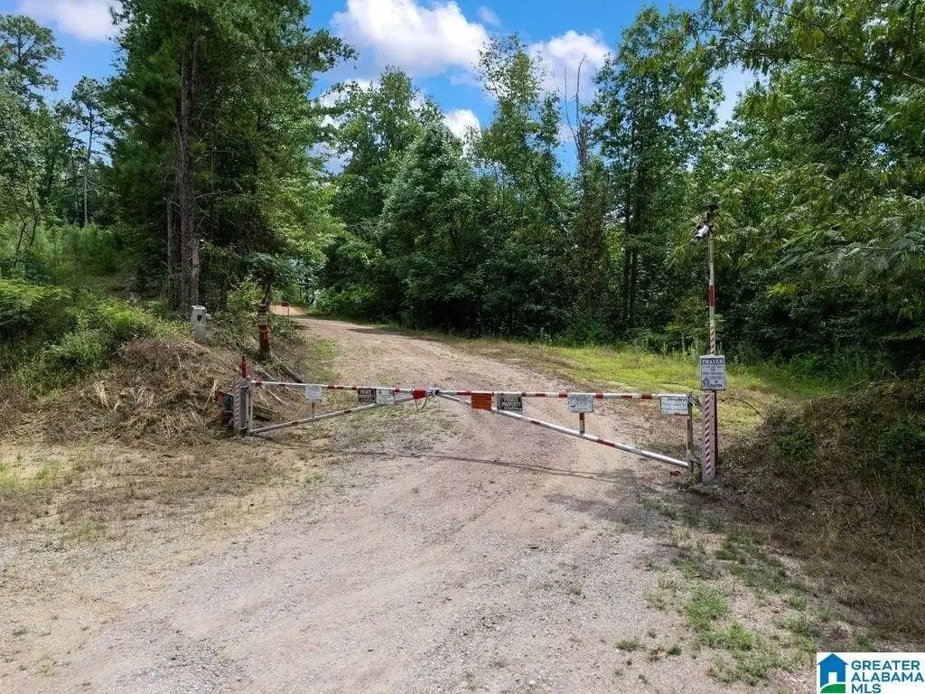 Picture 18