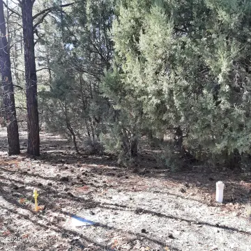 Residential Land in Show Low