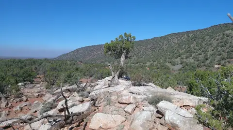 Snowflake Land at Black Mesa