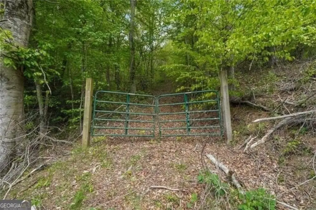 Picture 8