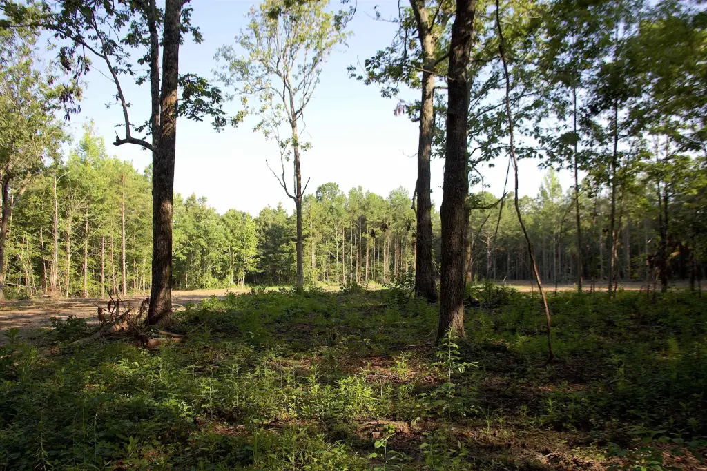 Picture 18