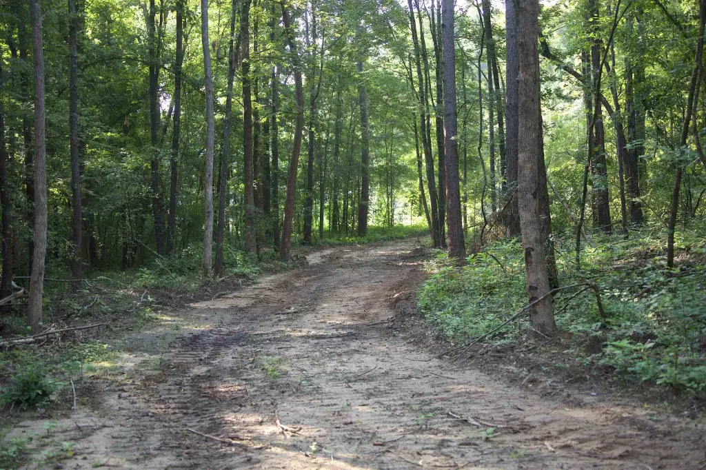 Picture 21