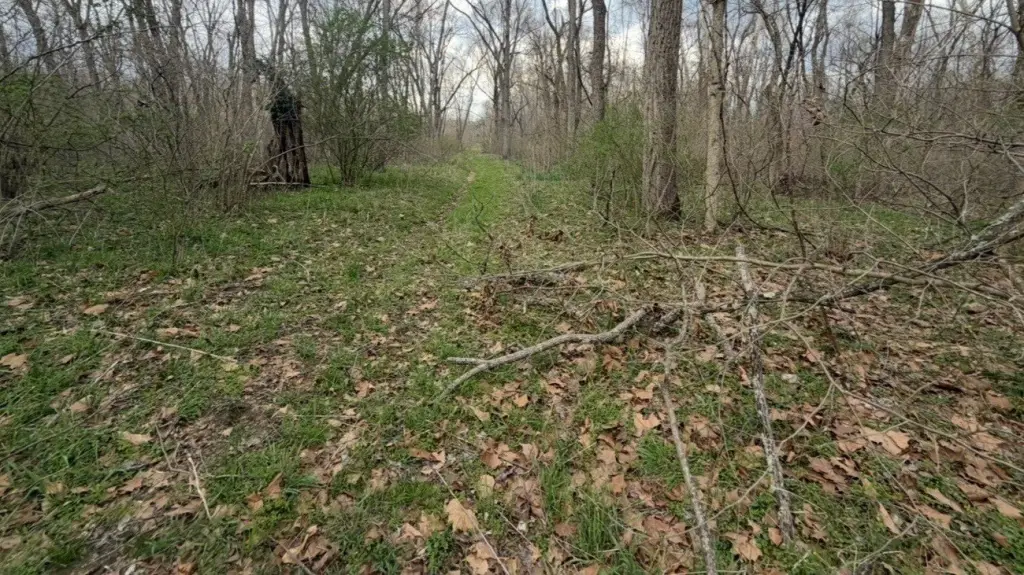Picture 6
