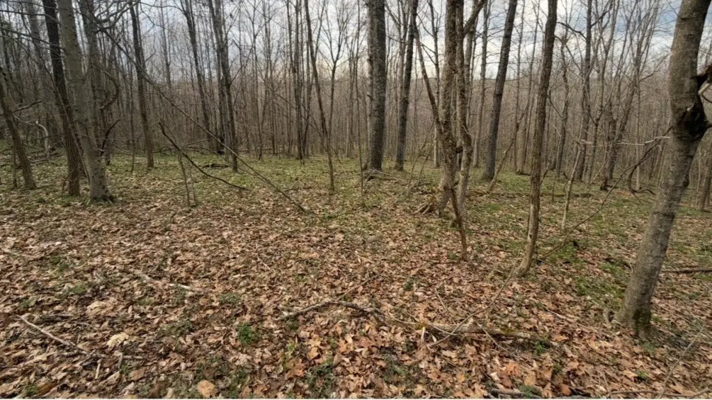 Picture 16