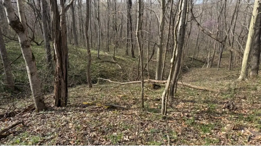 Picture 18