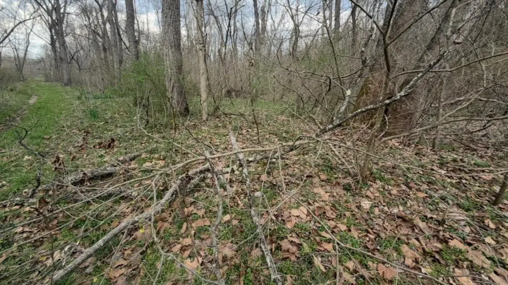 Picture 8