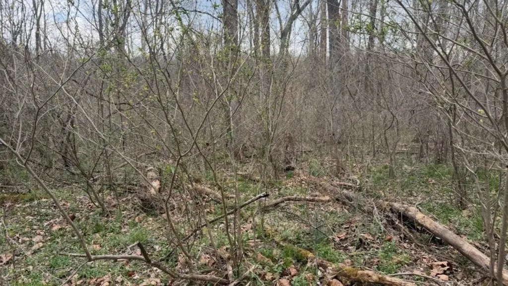 Picture 13