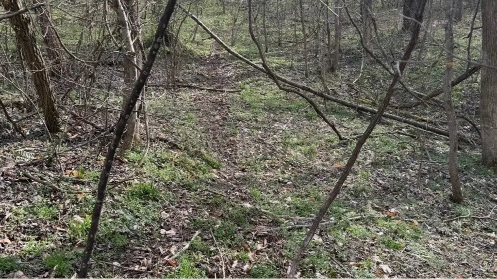 Picture 15