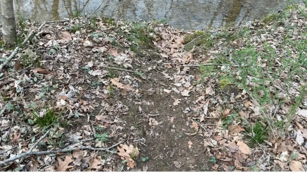 Picture 21