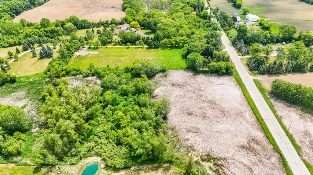 Picture 8