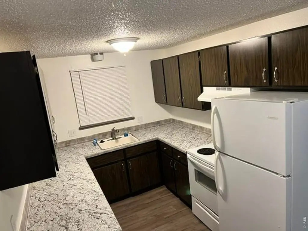 Picture 31