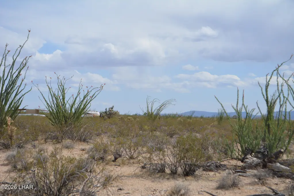 Picture 25