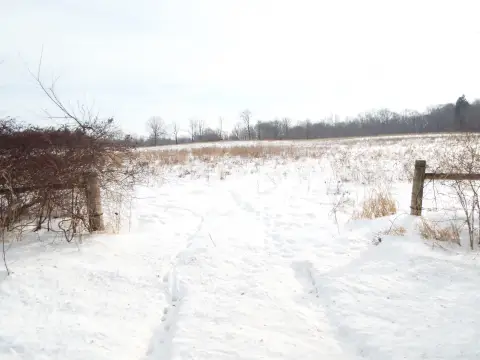 Land For Sale in Leslie