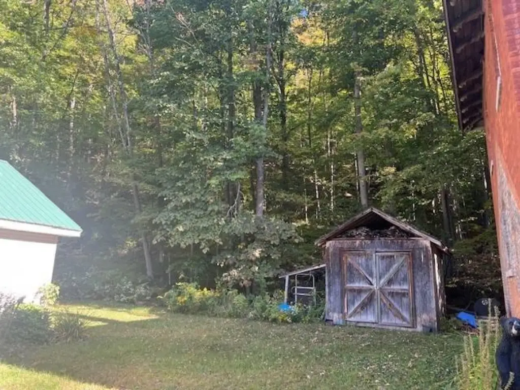 Picture 6